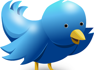 What To Do When You Lose Your Twitter Password