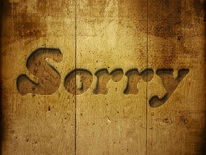 sorry-229978_640